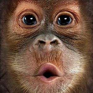 Meet your Posher, Jana